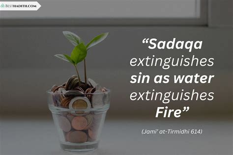 12 Best Hadith About Charity And Its Importance In Islam.